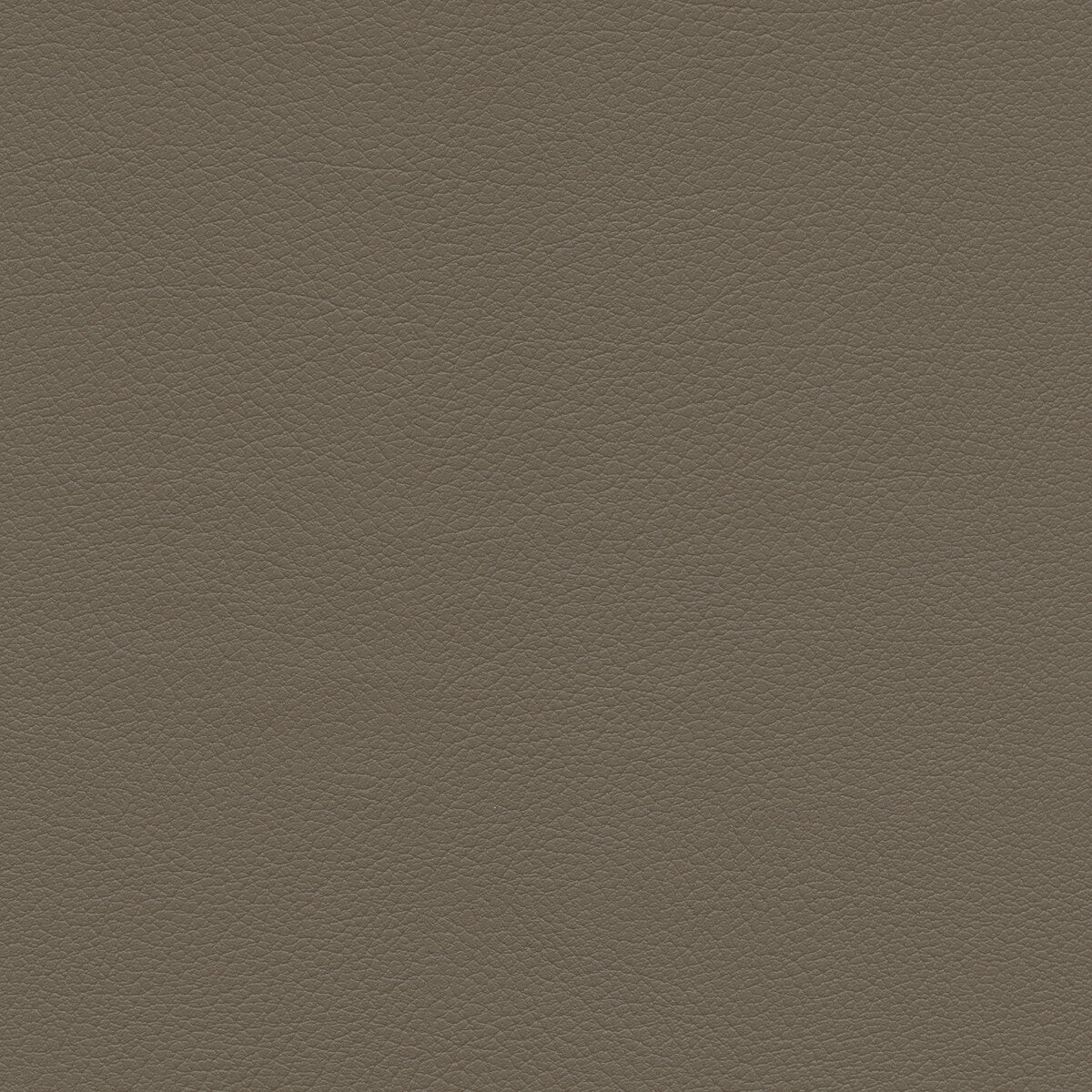 sumac110-kravet-design-sumac-11-kravet-design