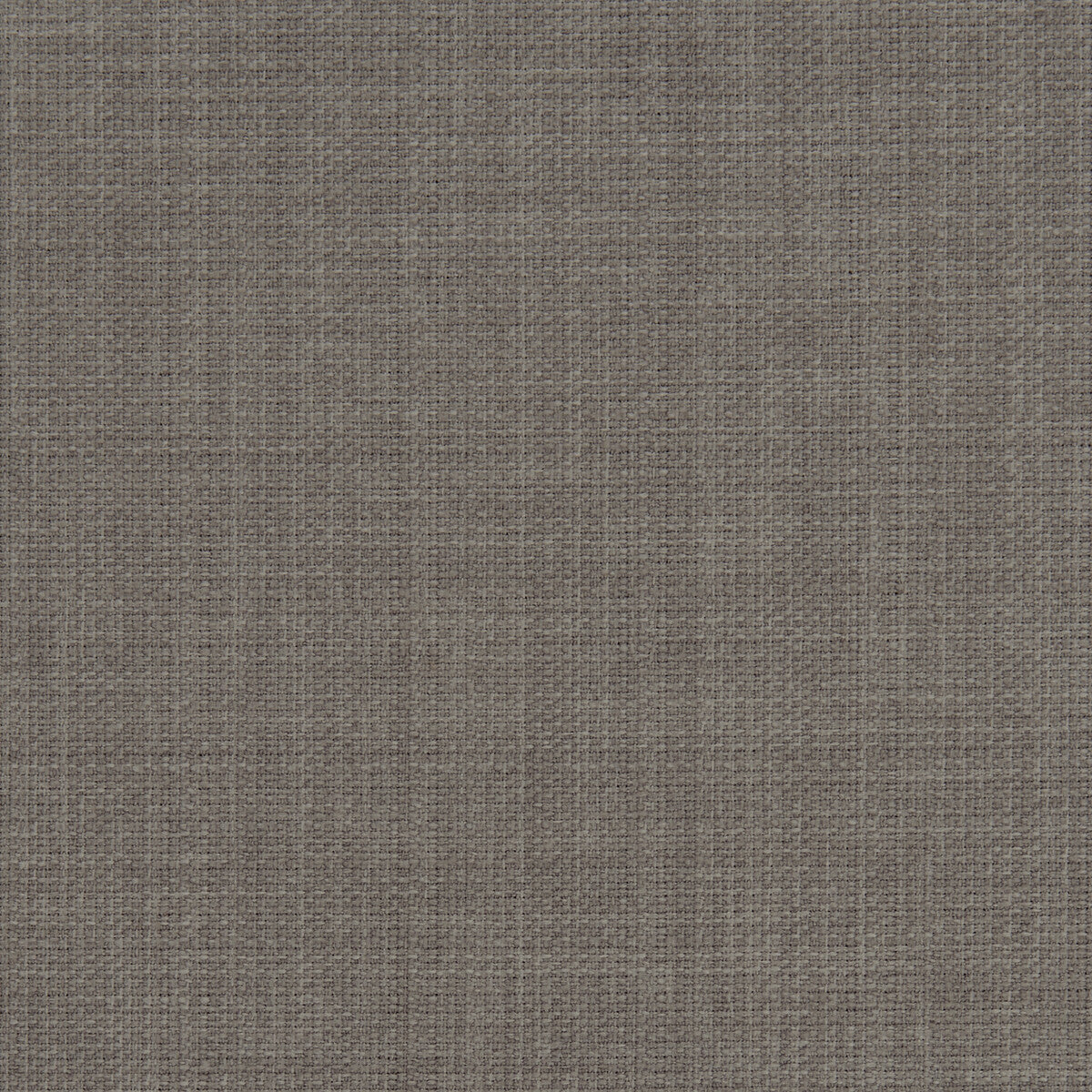 f045353cac0-linoso-mink-clarke-and-clarke - CLARKE AND CLARKE Fabric