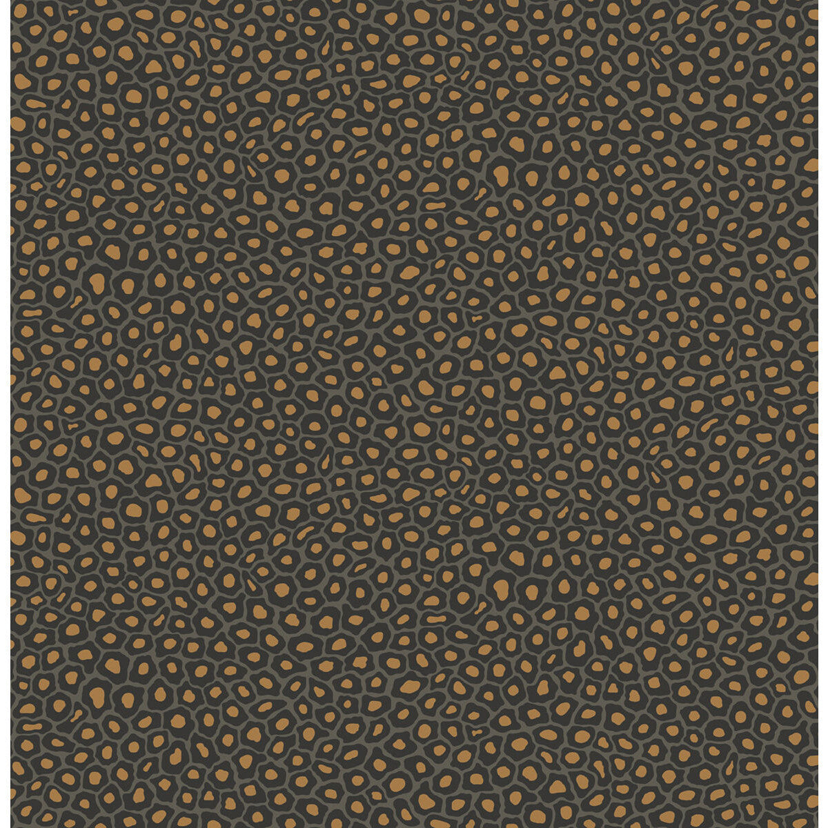 1096032cs0-senzo-spot-charcoal-cole-son