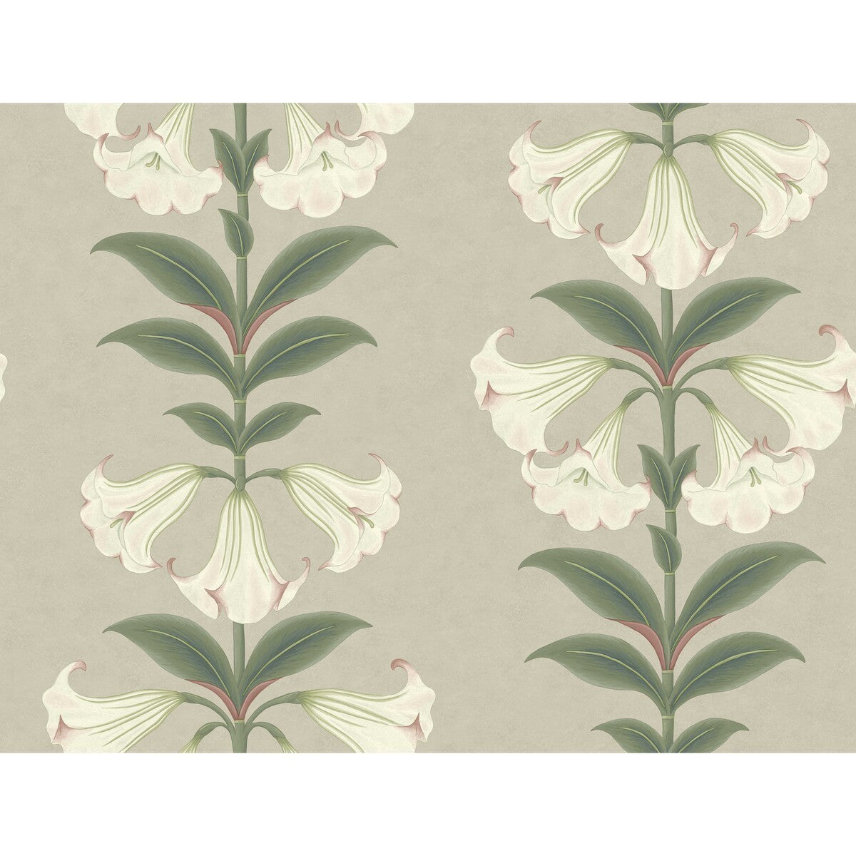 1173007cs0-angels-trumpet-chalk-sage-on-stone-cole-son