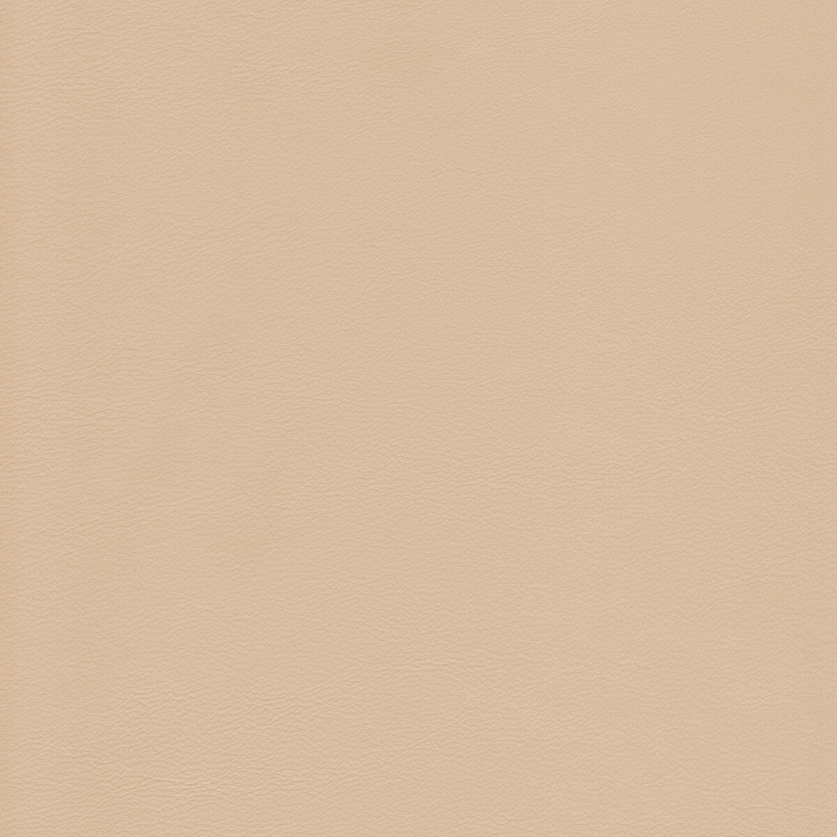 l-howdysand0-kravet-design-l-howdy-sand-kravet-design