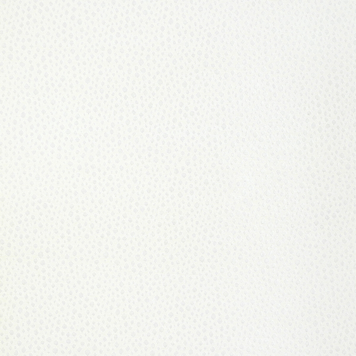 3678310-tip-the-scale-snow-kravet-design