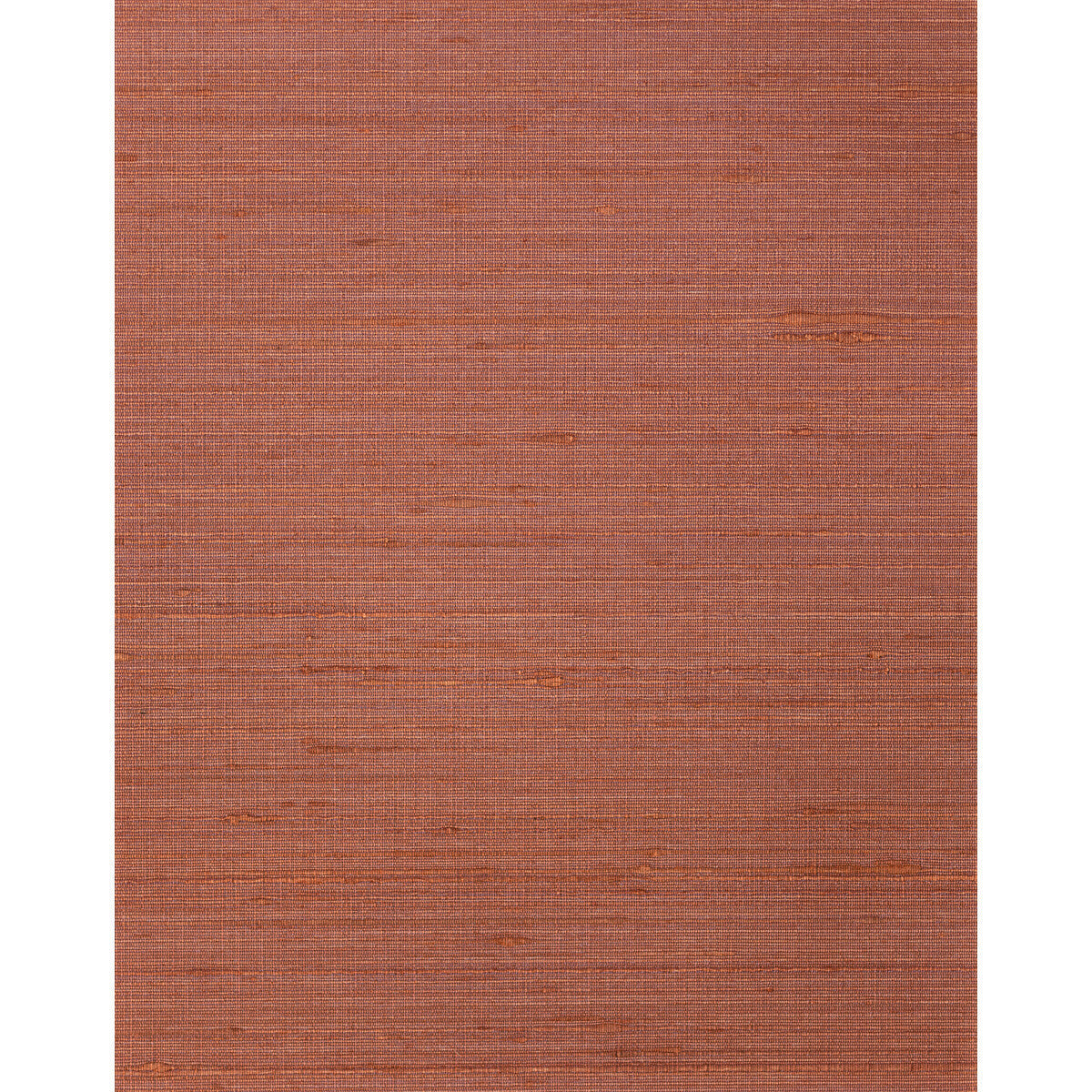 wns5566wt0-ambrose-terra-winfield-thybony - WINFIELD THYBONY Wallpaper