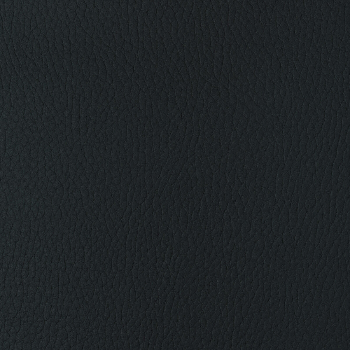 sugarmaple500-kravet-design-sugarmaple-50-kravet-design