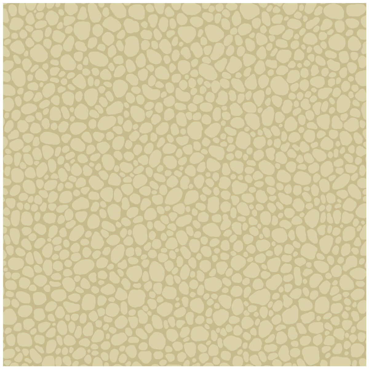 1062024cs0-pebble-latte-cole-son