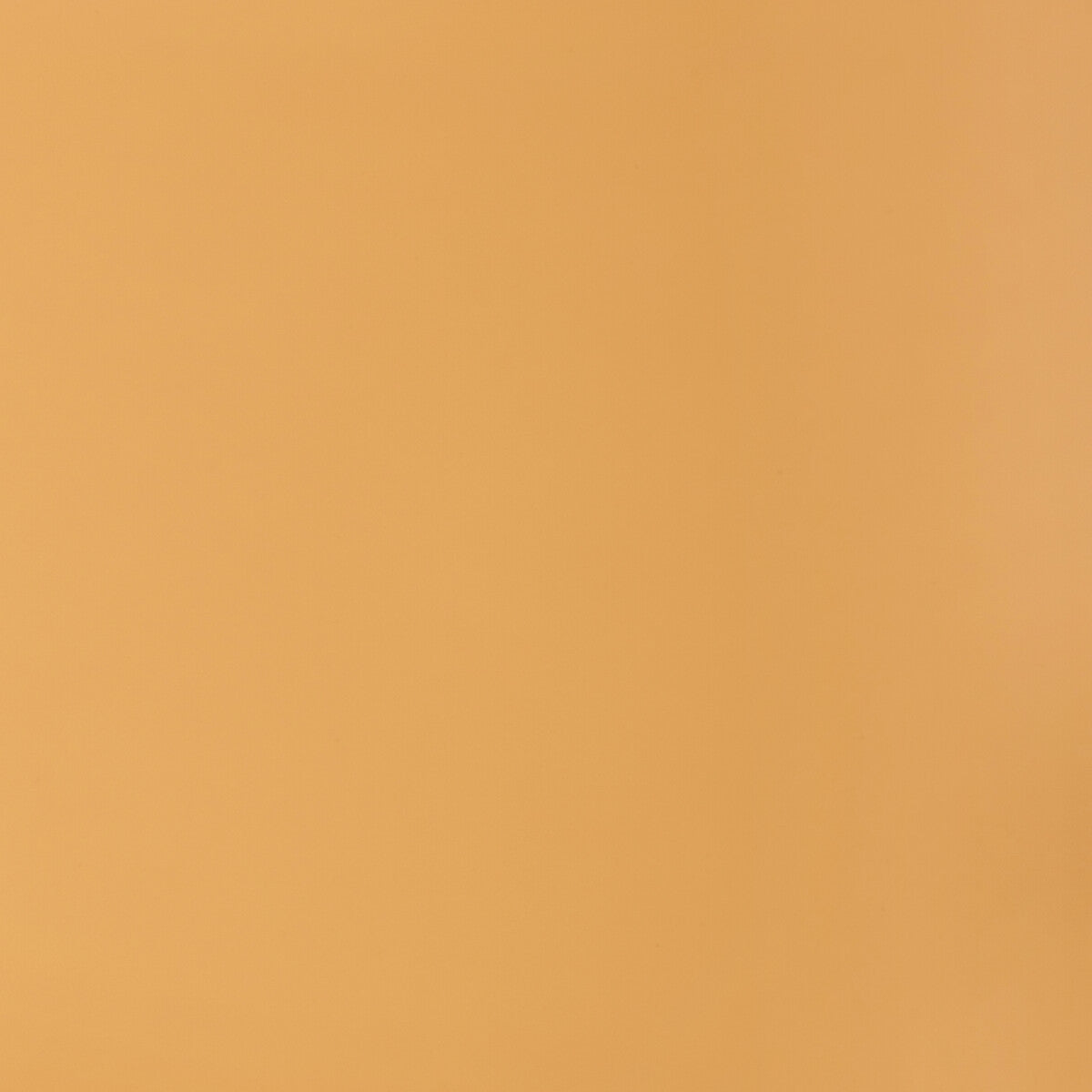 retouch160-retouch-buck-kravet-contract - KRAVET CONTRACT Fabric