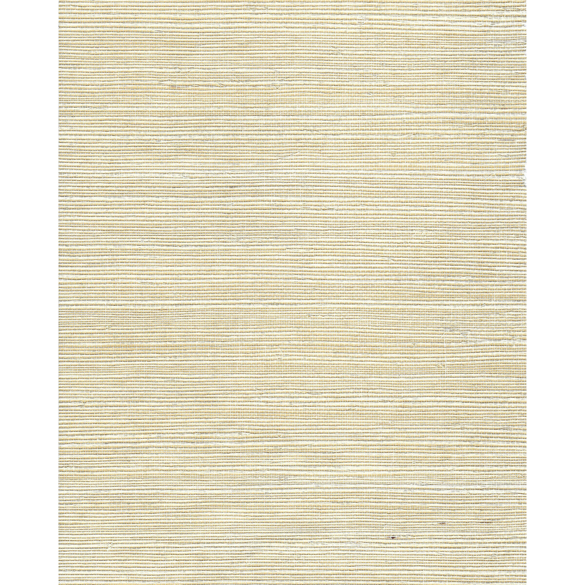 wnr2061wt0-chiyo-sisal-beige-winfield-thybony - WINFIELD THYBONY Wallpaper
