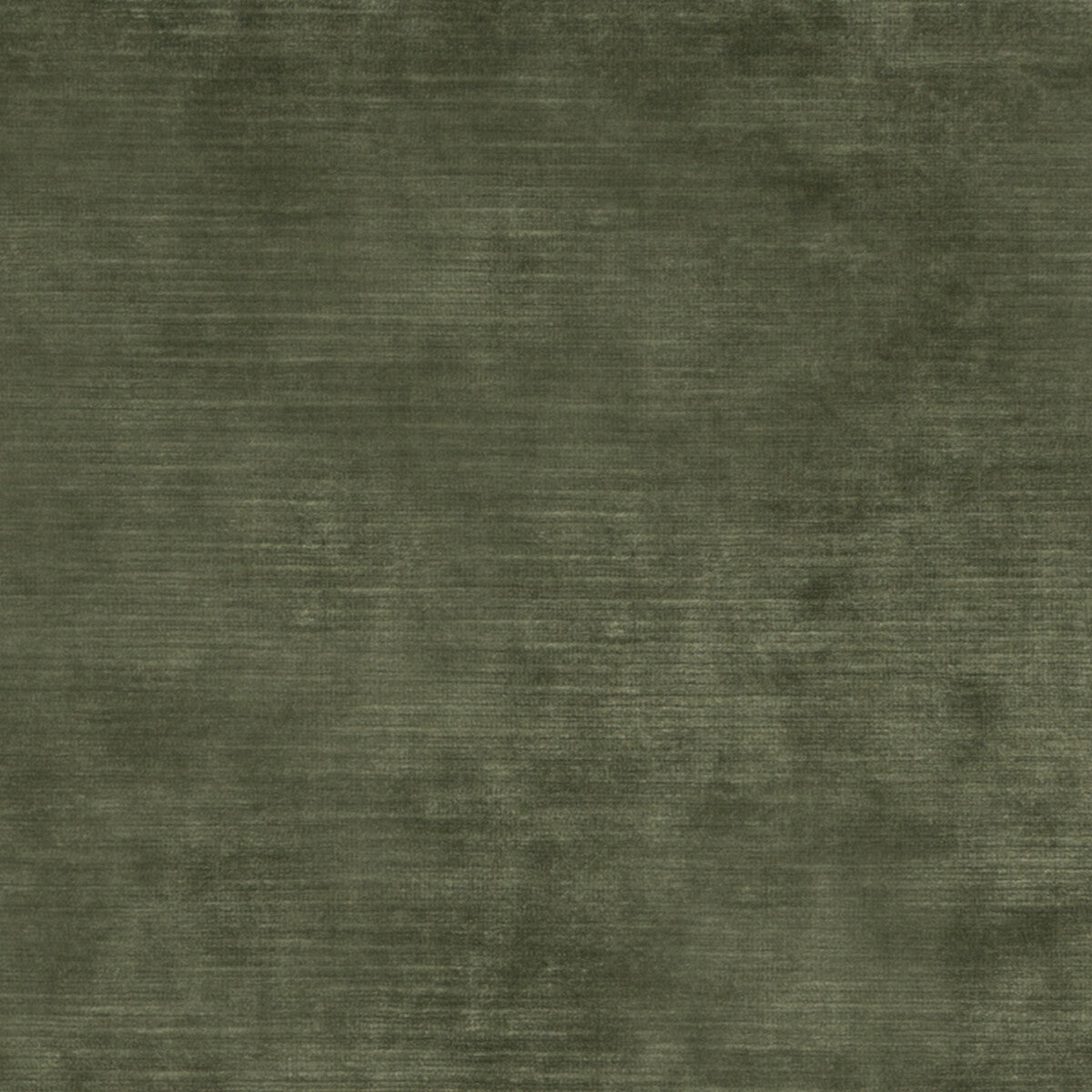 ed852927750-meridian-velvet-fern-threads - THREADS Fabric
