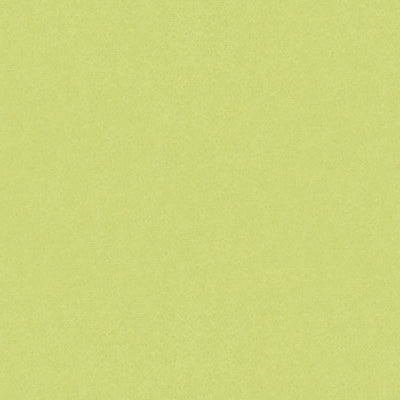 br-897784040-autun-mohair-velvet-celery-brunschwig-fils