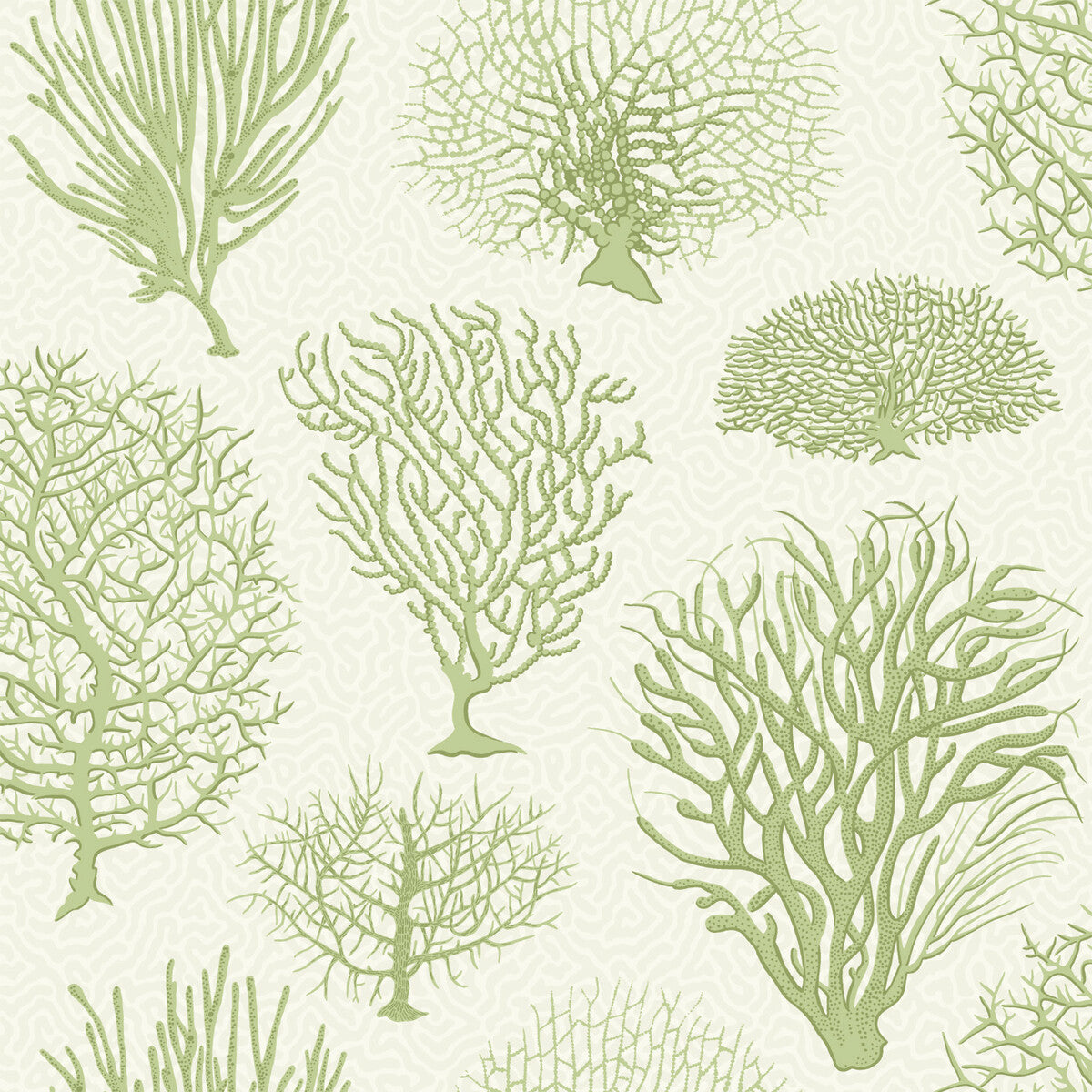 1072008cs0-seafern-soft-green-cole-son