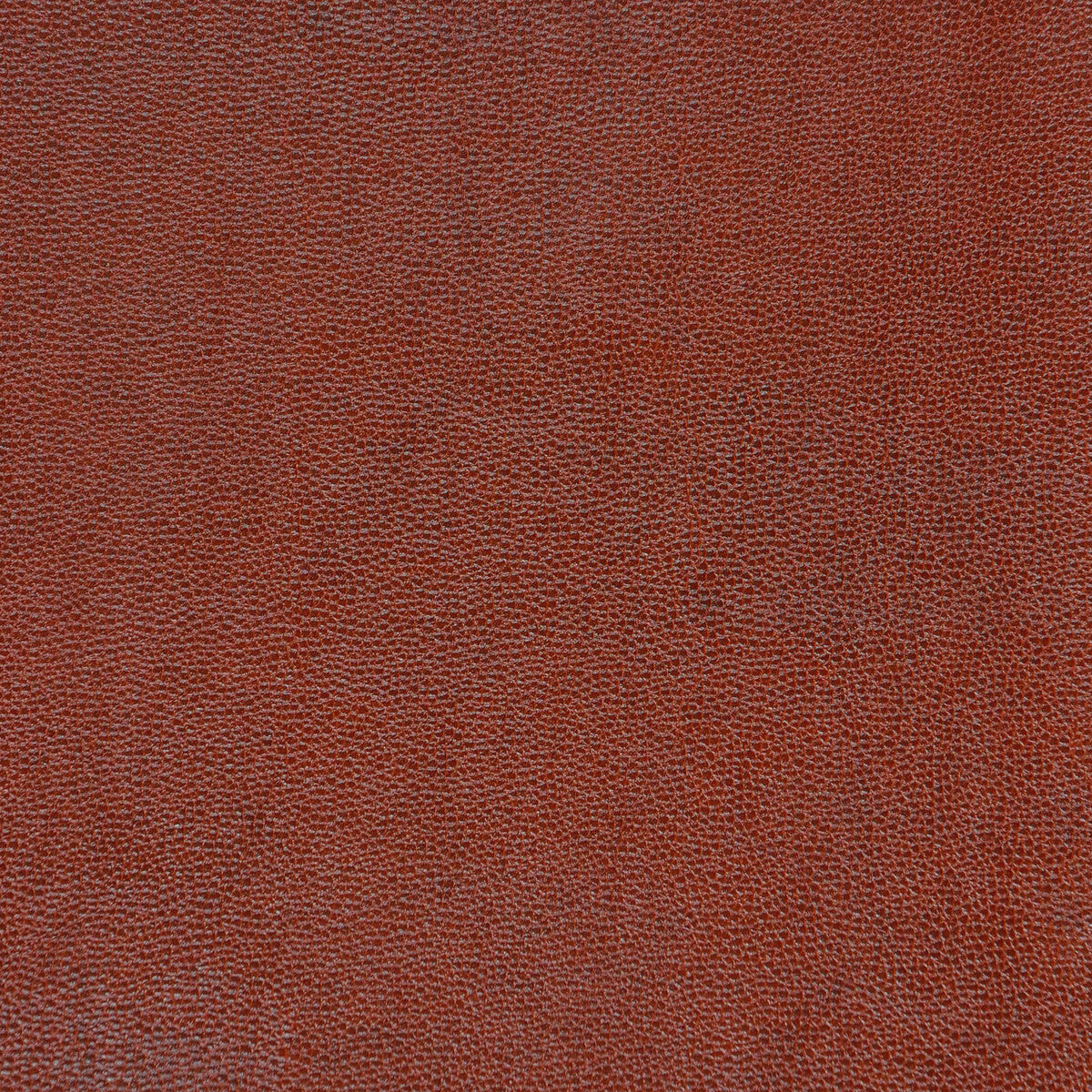 sparta6240-kravet-design-sparta-624-kravet-design