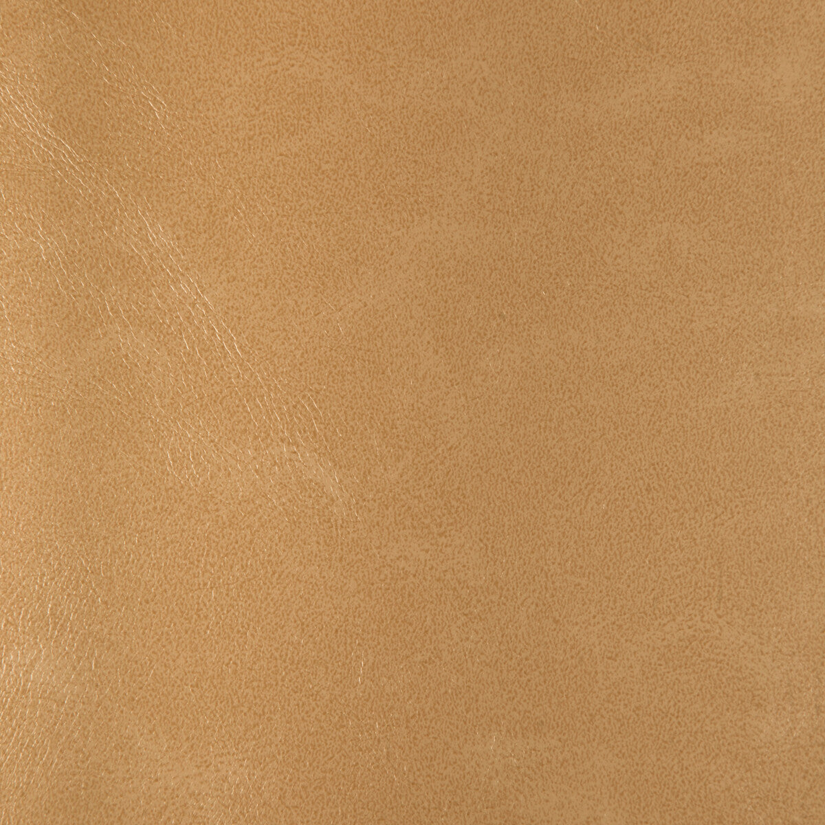 rind1160-kravet-design-rind-116-kravet-design