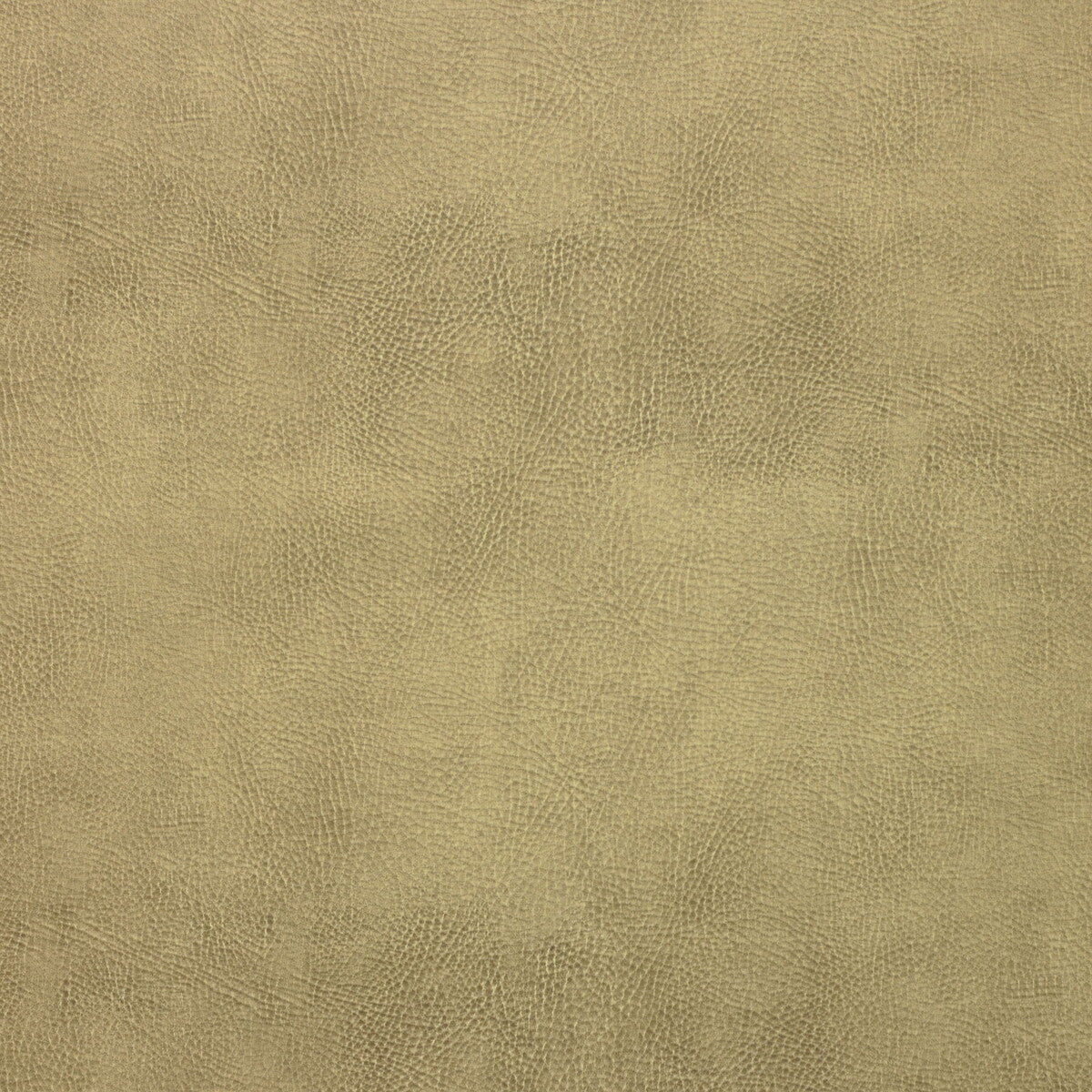 caswell160-kravet-design-caswell-16-kravet-design