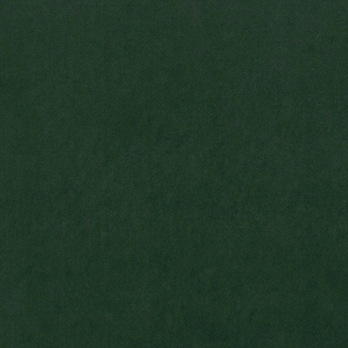 f075363cac0-alvar-emerald-clarke-and-clarke - CLARKE AND CLARKE Fabric