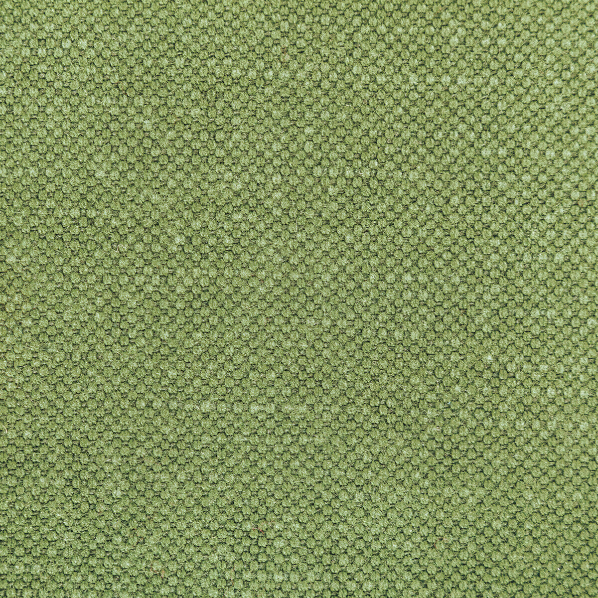 362823140-carson-frog-kravet-basics