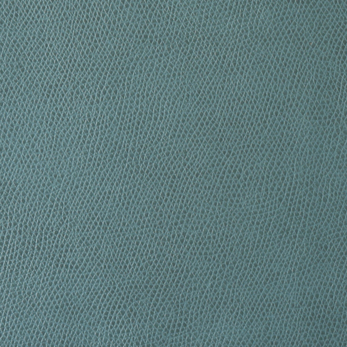 ophidian350-ophidian-patina-kravet-contract