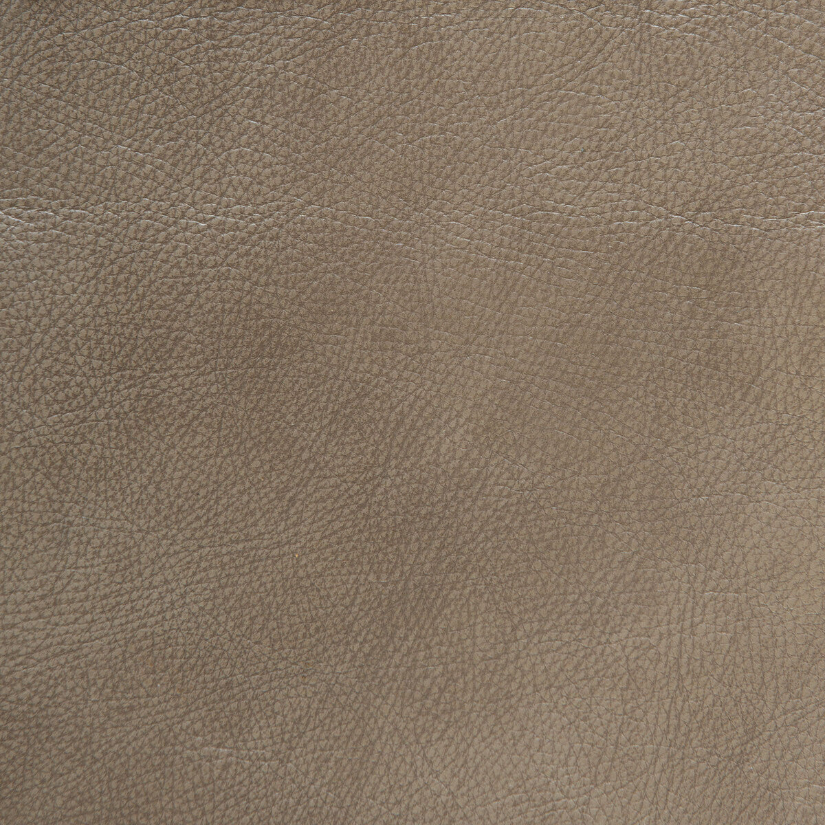 l-spectrumwhisper0-kravet-design-kravet-design
