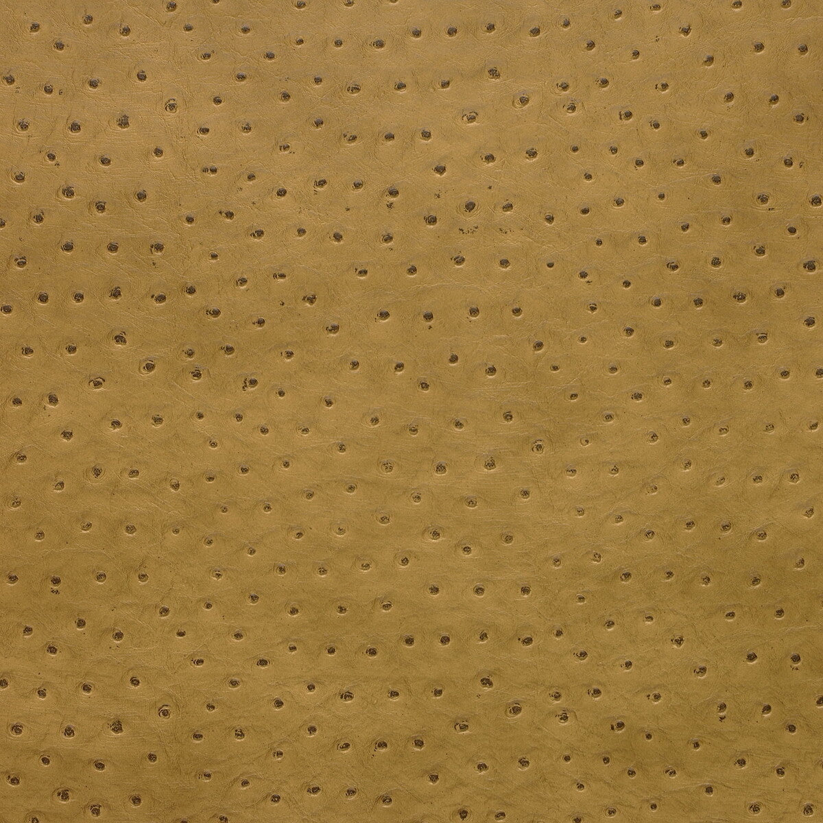 senna40-kravet-design-senna-4-kravet-design
