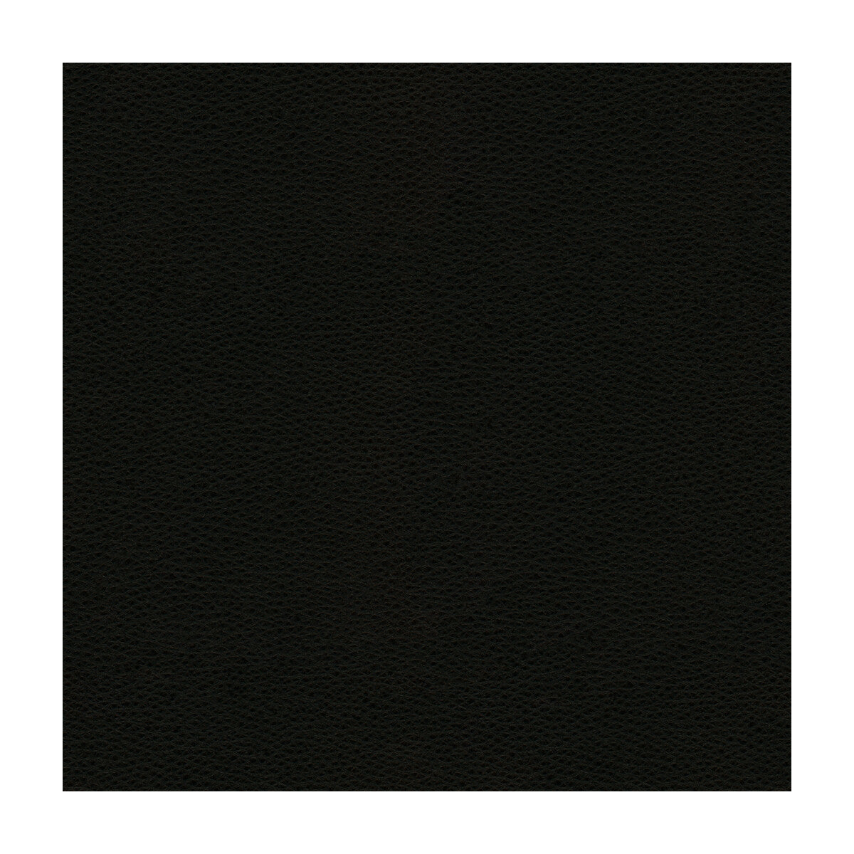 rigel80-kravet-design-rigel-8-kravet-design