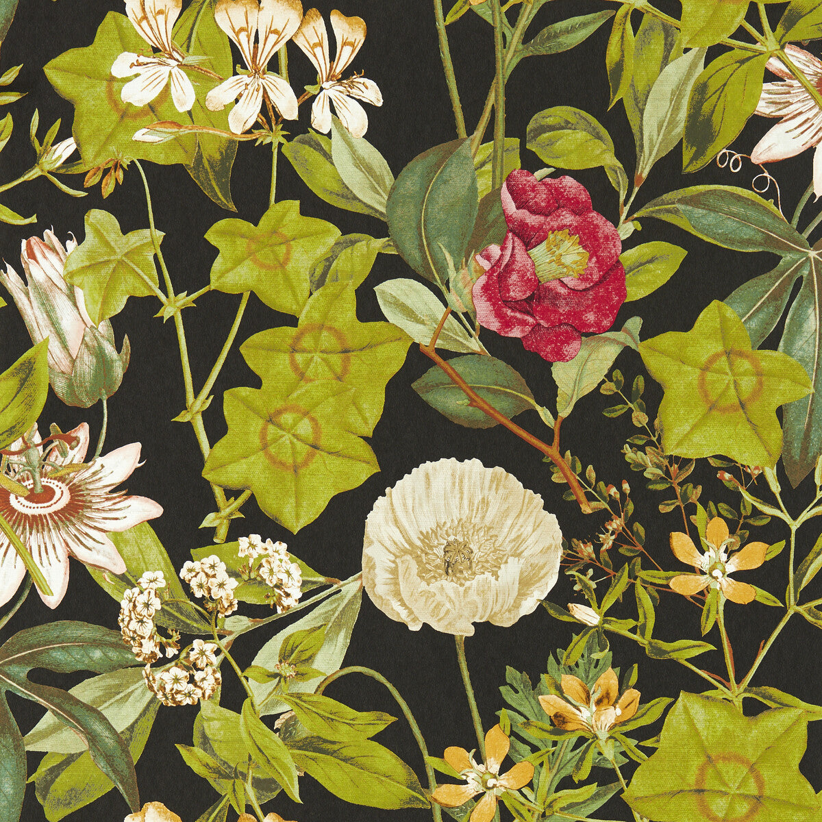 w014304cac0-passiflora-noir-wp-clarke-and-clarke - CLARKE AND CLARKE Wallpaper