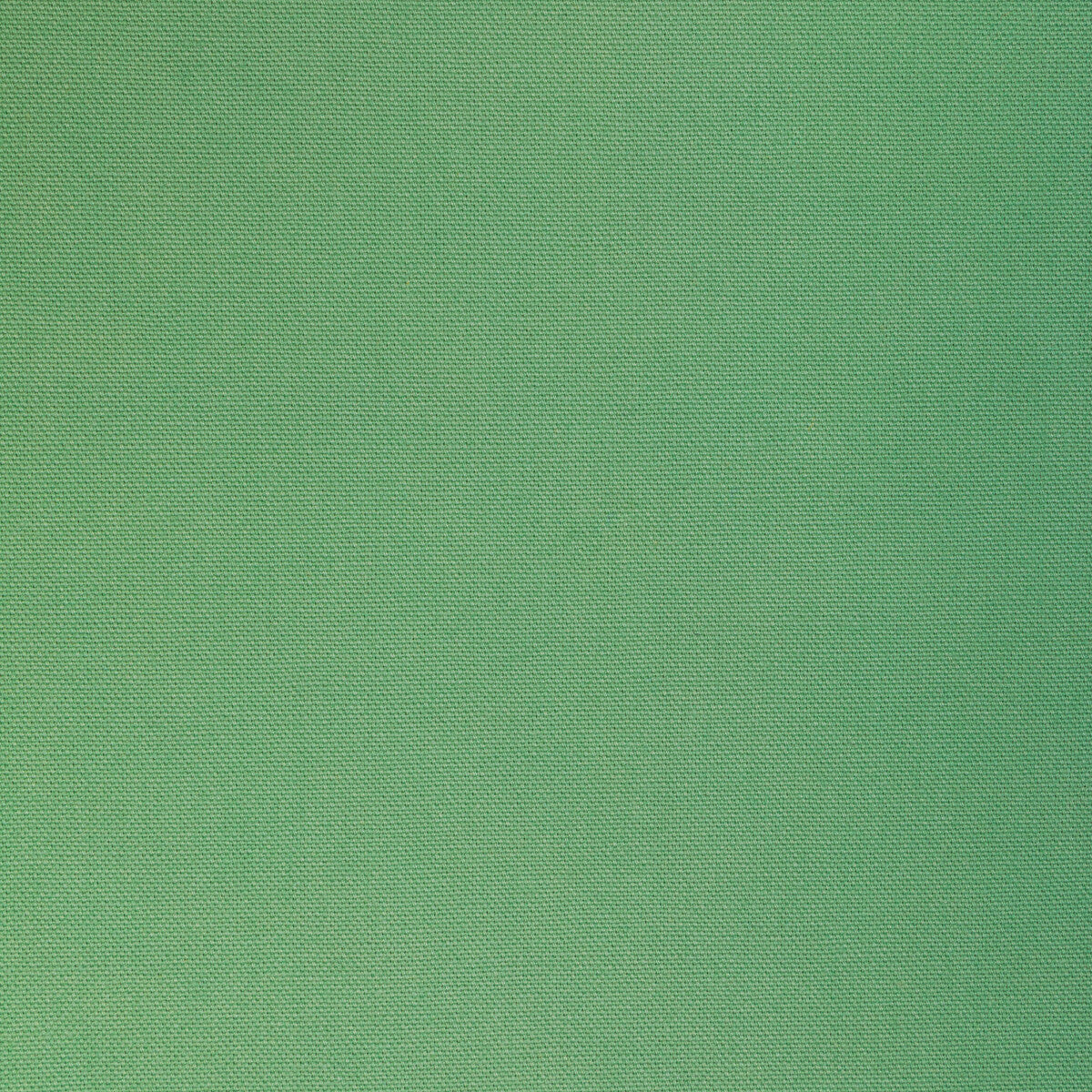 3665630-kravet-basics-36656-3 - KRAVET BASICS Fabric