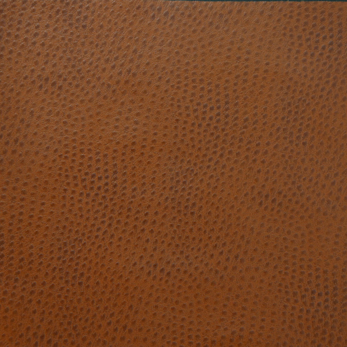 delaney60-kravet-design-delaney-6-kravet-design - KRAVET DESIGN Fabric