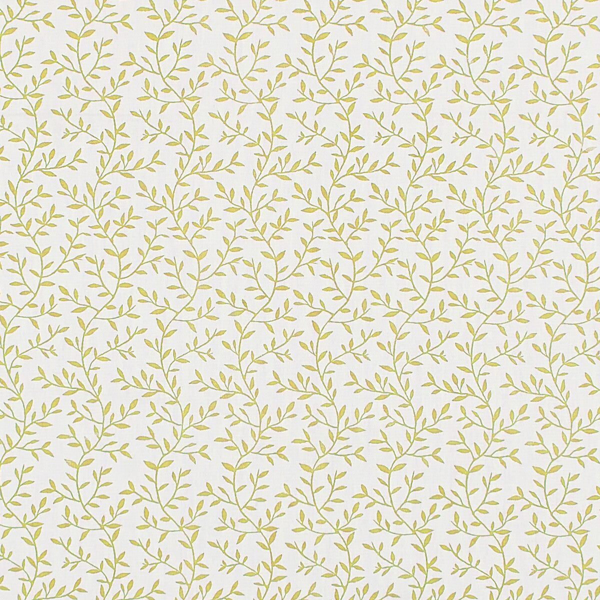 f137503cac0-lila-citrus-clarke-and-clarke