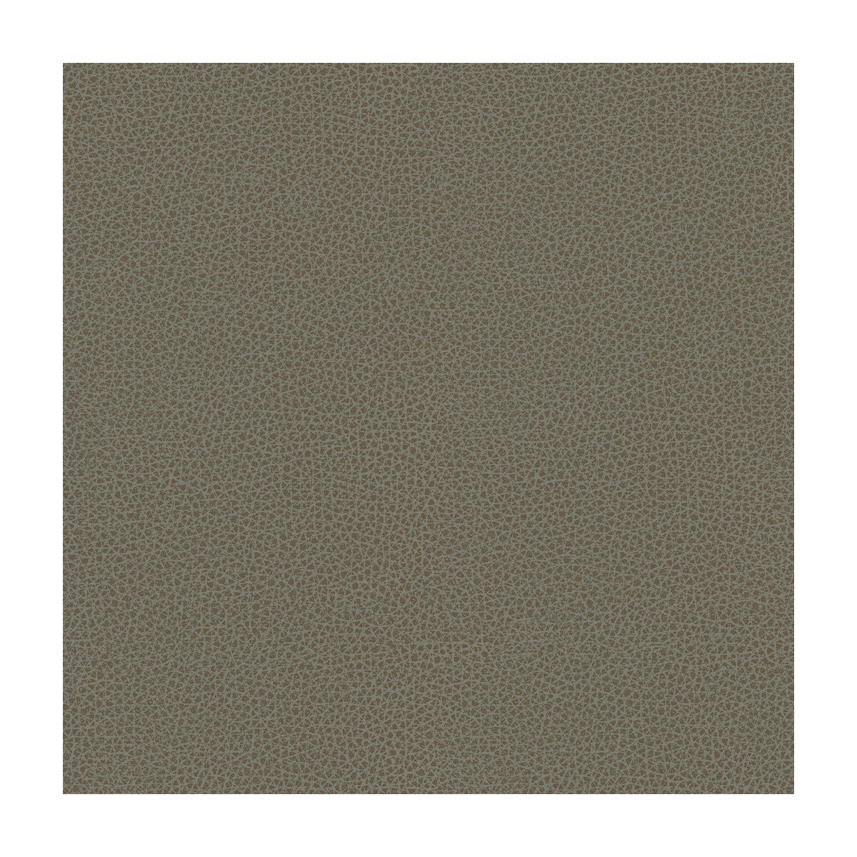 rigel110-kravet-design-rigel-11-kravet-design