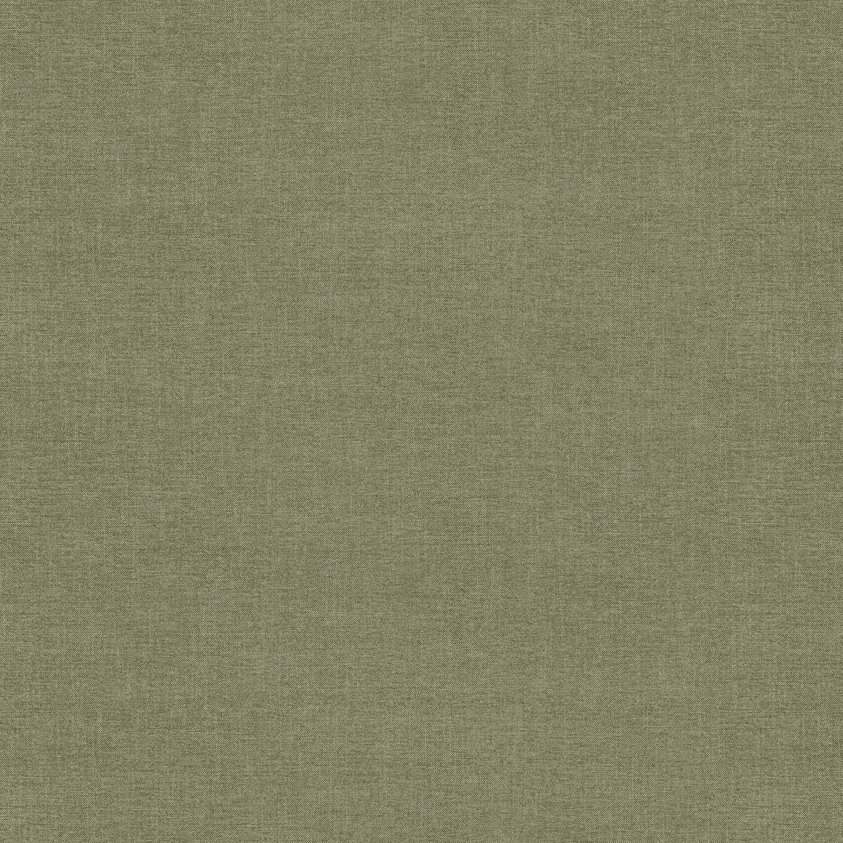 am100432300-walton-moss-kravet-couture