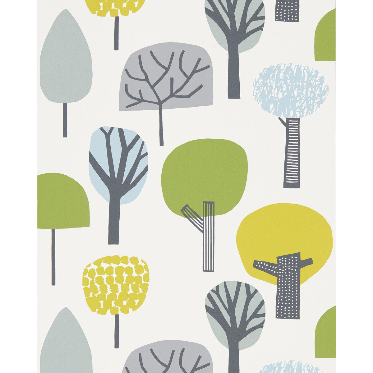 nnou111524scn0-liora-citrusgeckoglacier-scion