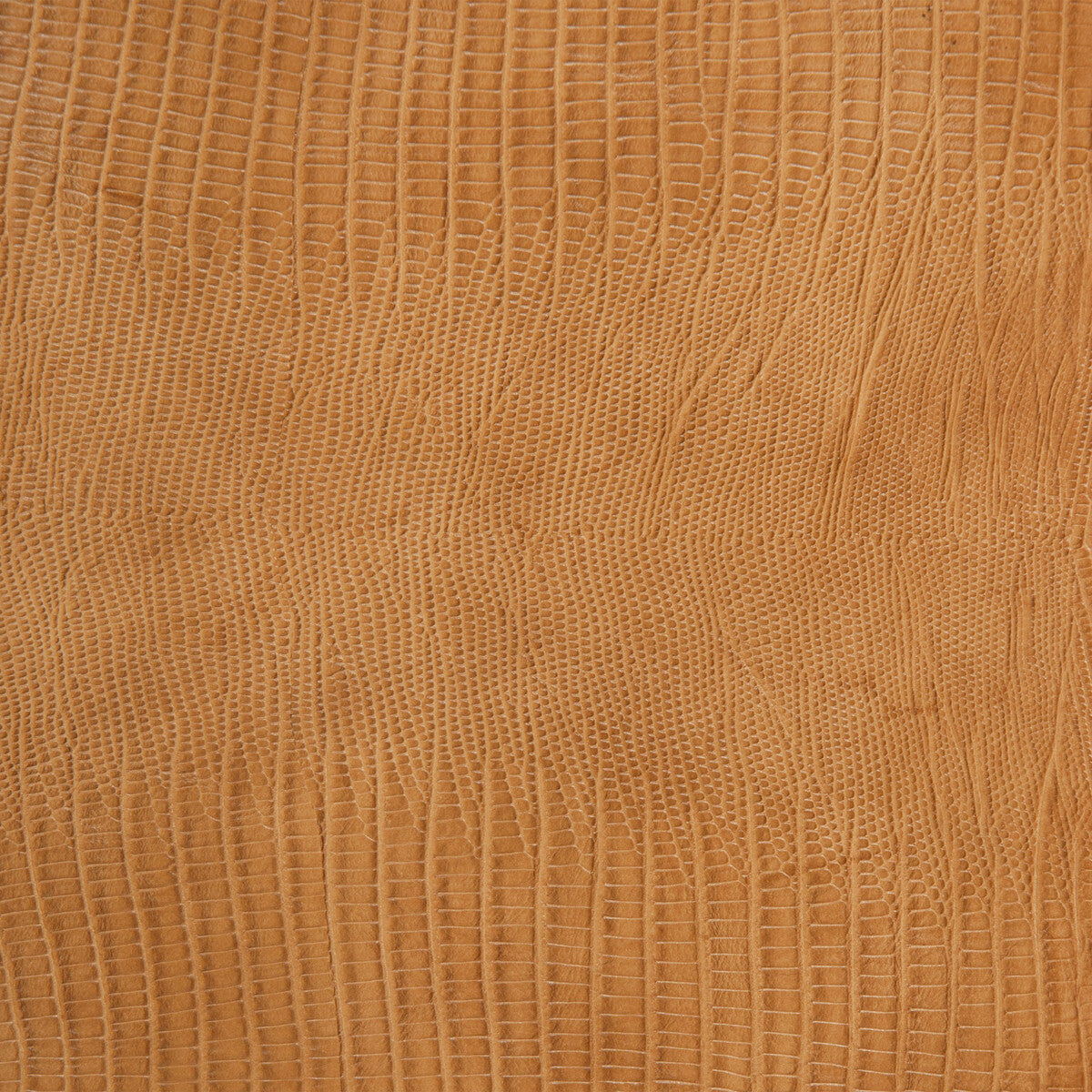 namaqua6160-kravet-design-namaqua-616-kravet-design