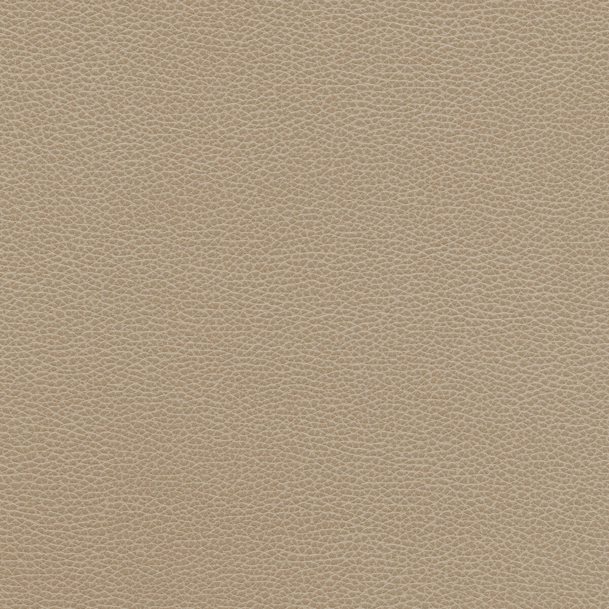 tannin110-kravet-design-tannin-11-kravet-design - KRAVET DESIGN Fabric