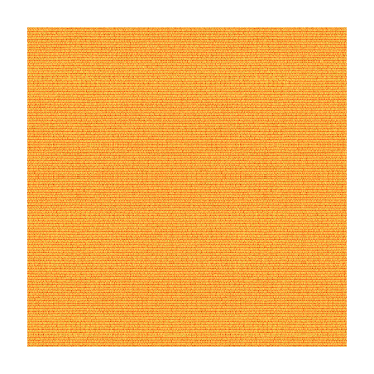 br-838063420-bosporus-ottoman-texture-pollen-brunschwig-fils - BRUNSCHWIG & FILS Fabric