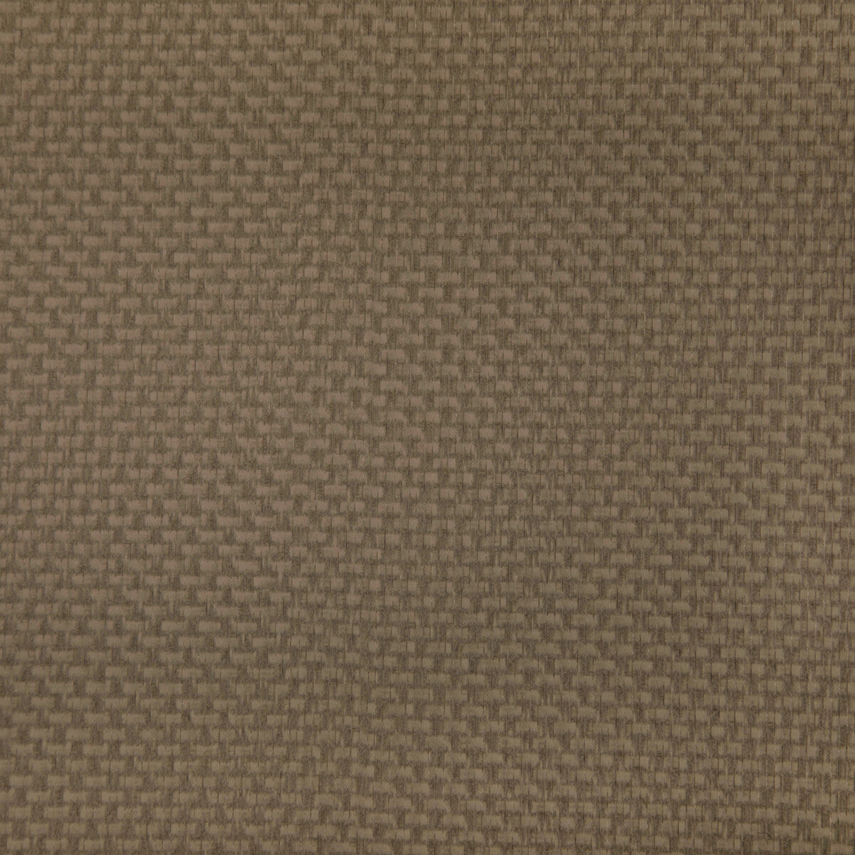 stein1060-stein-etruscan-kravet-contract