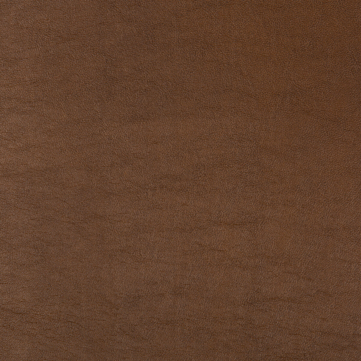 aristides60-kravet-design-aristides-6-kravet-design