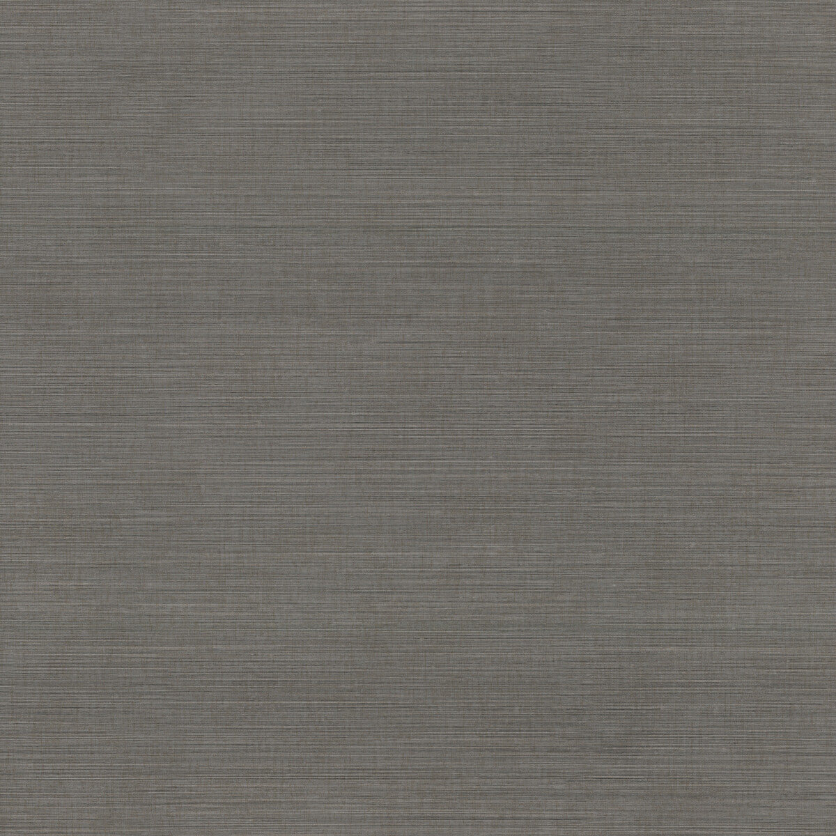 whf1758wt0-vivace-thread-graphite-winfield-thybony - WINFIELD THYBONY Wallpaper