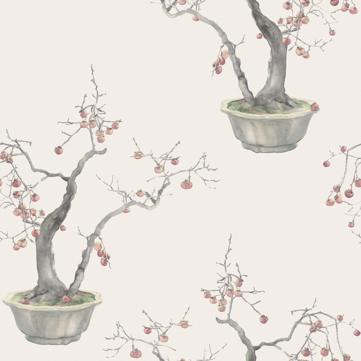 1262004cs0-kaki-persimmon-silver-cole-son - COLE & SON Wallpaper