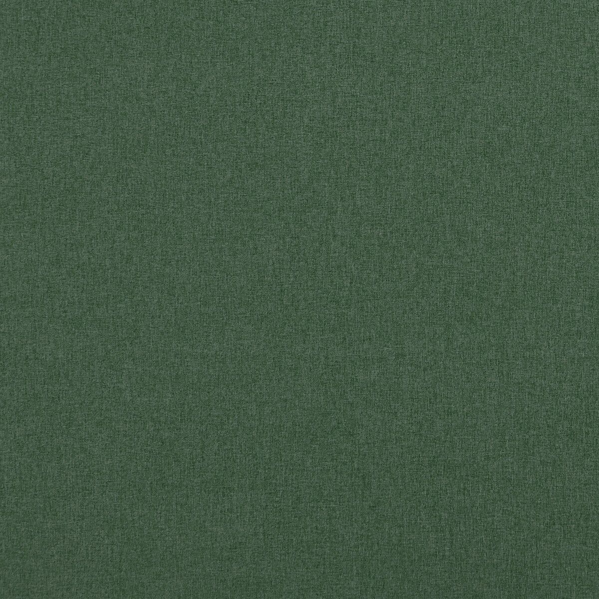 f084846cac0-highlander-forest-clarke-and-clarke - CLARKE AND CLARKE Fabric