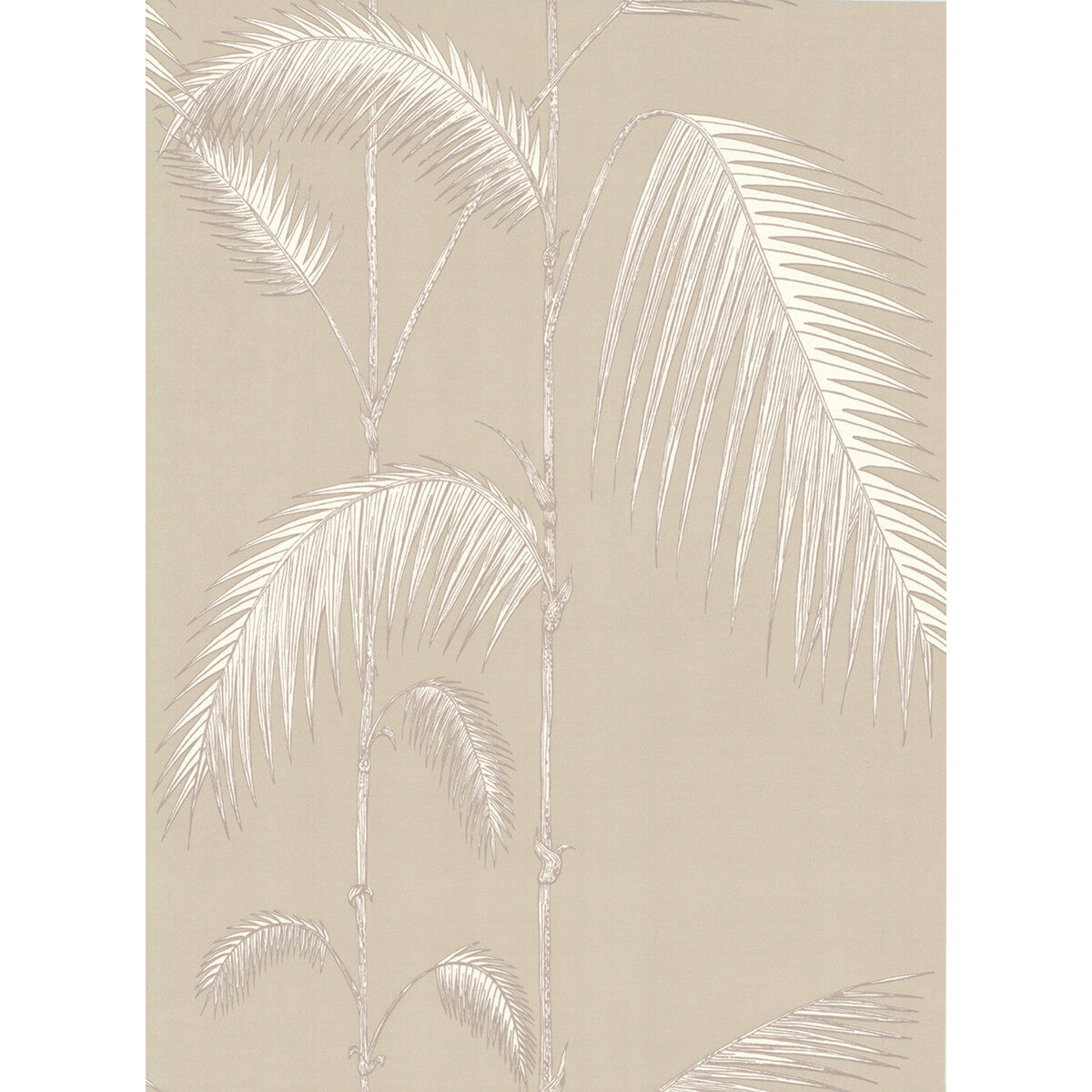 662013cs0-palm-leaves-taupew-cole-son - COLE & SON Wallpaper