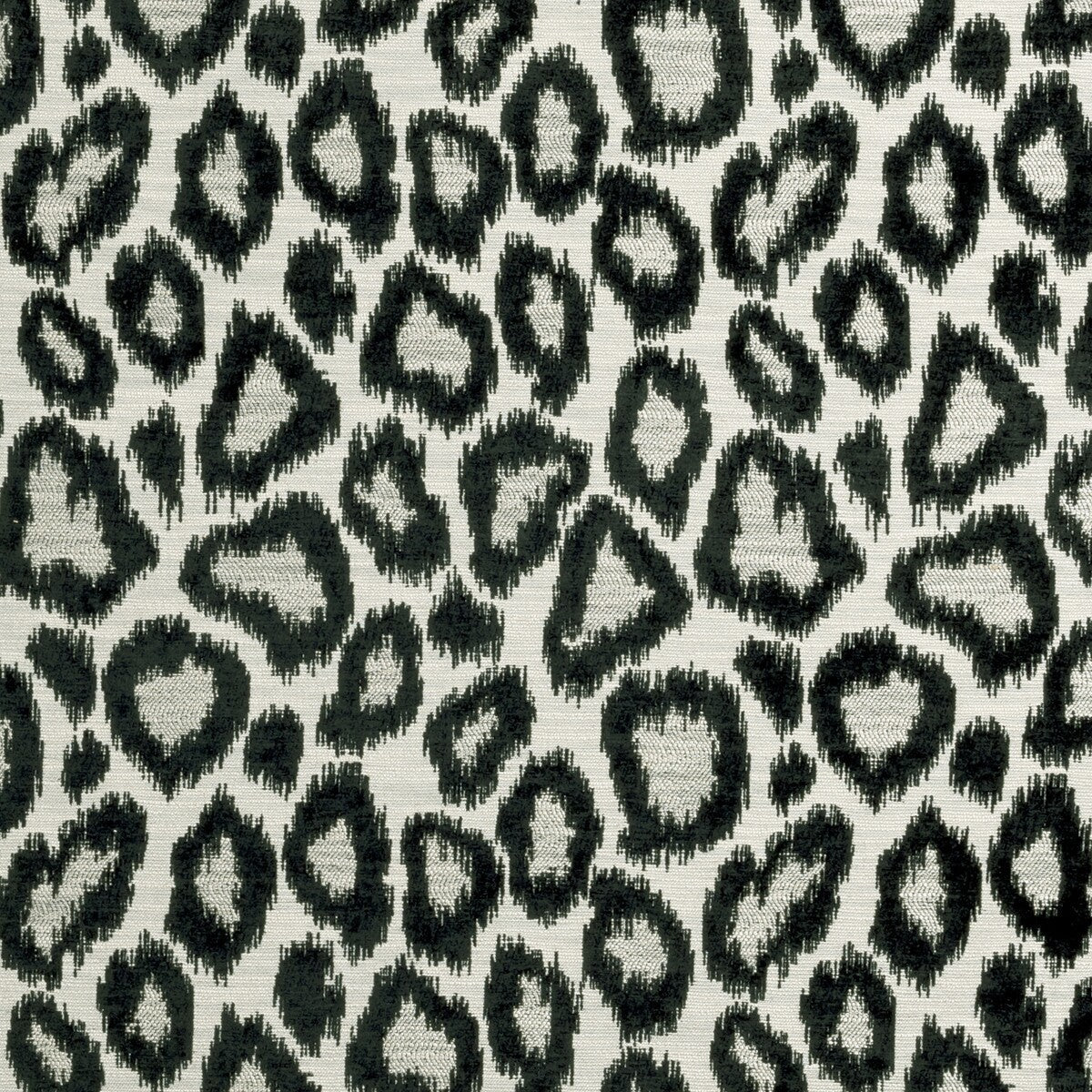 f091201cac0-bw1039-blackwhite-clarke-and-clarke - CLARKE AND CLARKE Fabric
