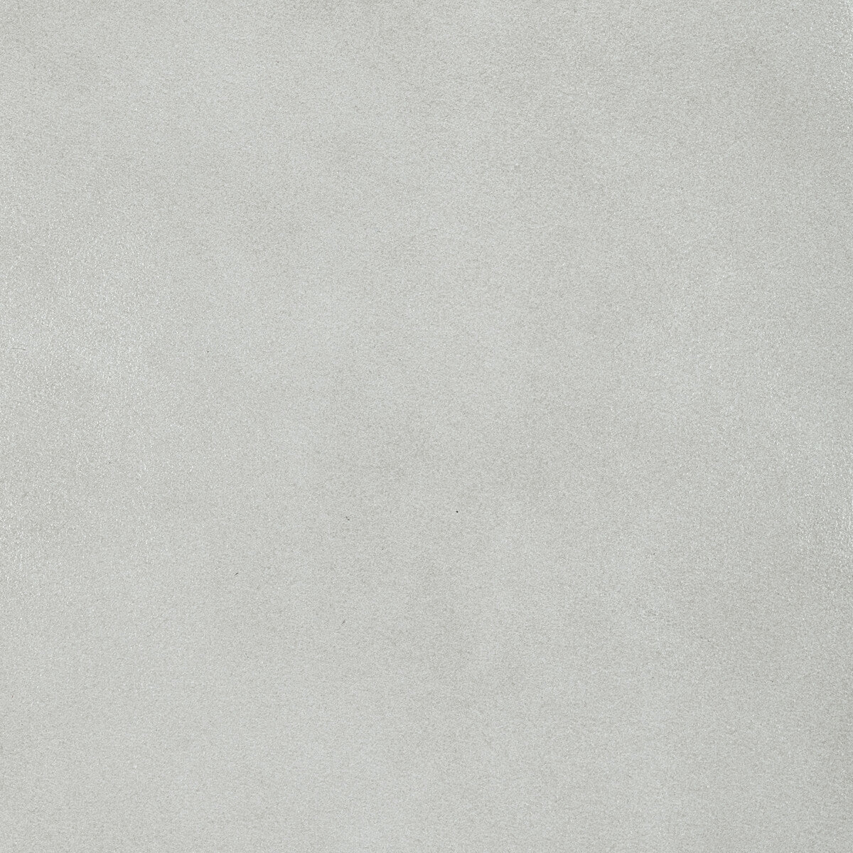 l-bronconeedle0-kravet-design-l-bronco-needle-kravet-design