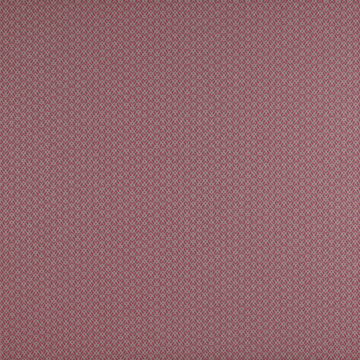 gdt52050060-chueca-frambuesa-gaston-y-daniela