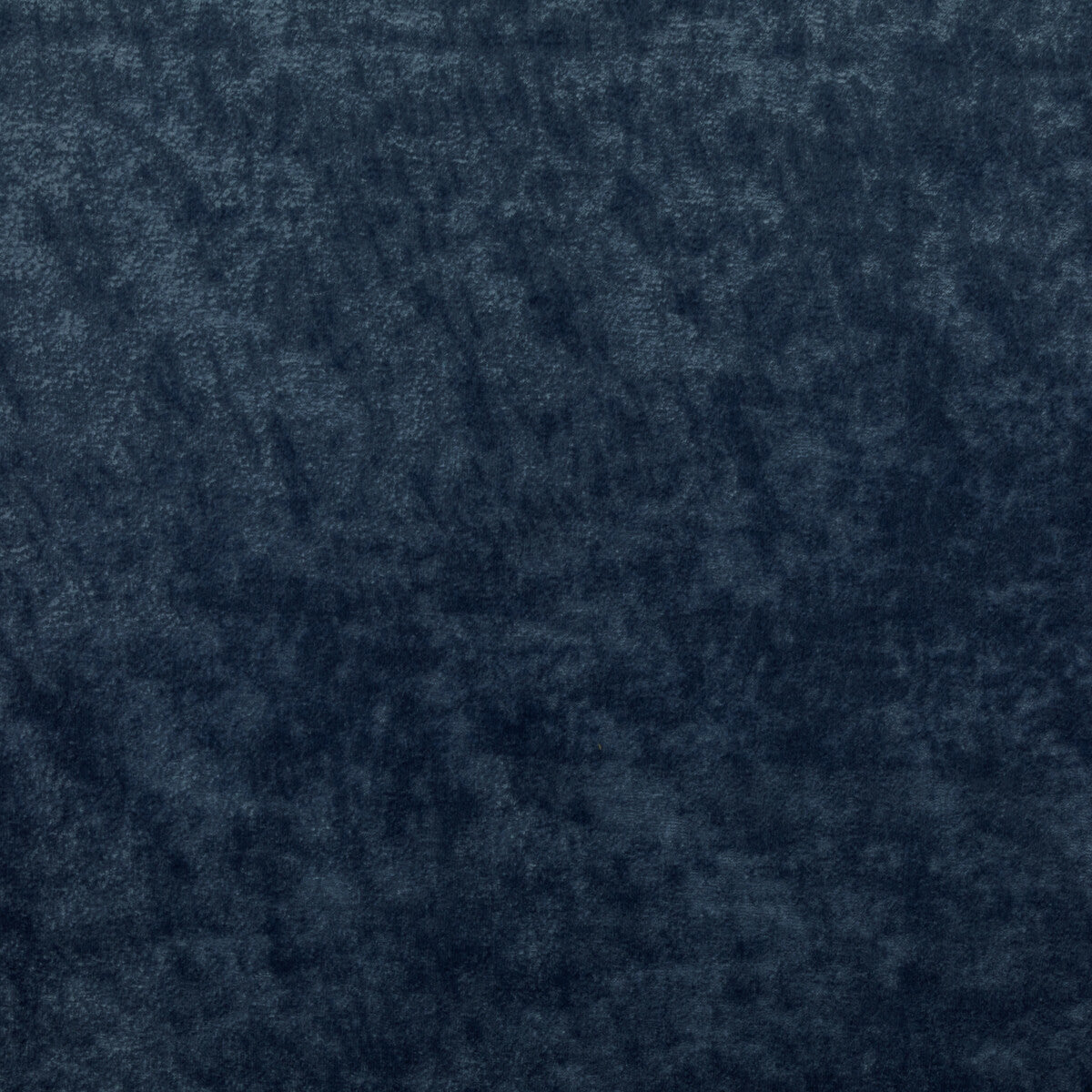 3606550-triumphant-royal-kravet-couture