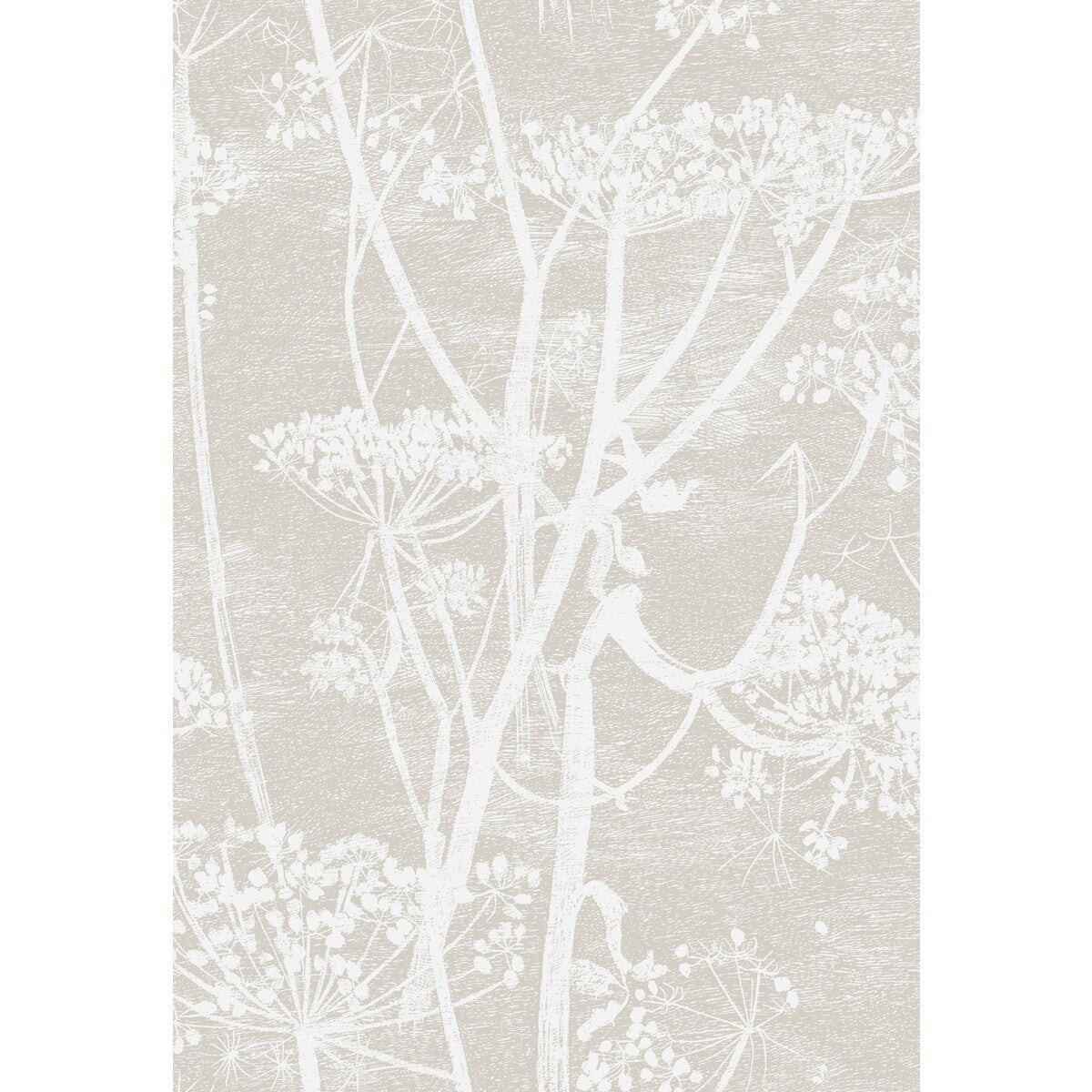 f1115019cs0-cow-parsley-wht-taupe-cole-son