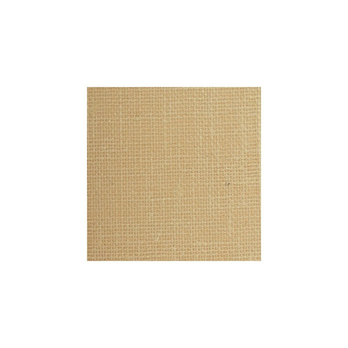 wse1259wt0-winfield-thybony-wse1259-wt-winfield-thybony