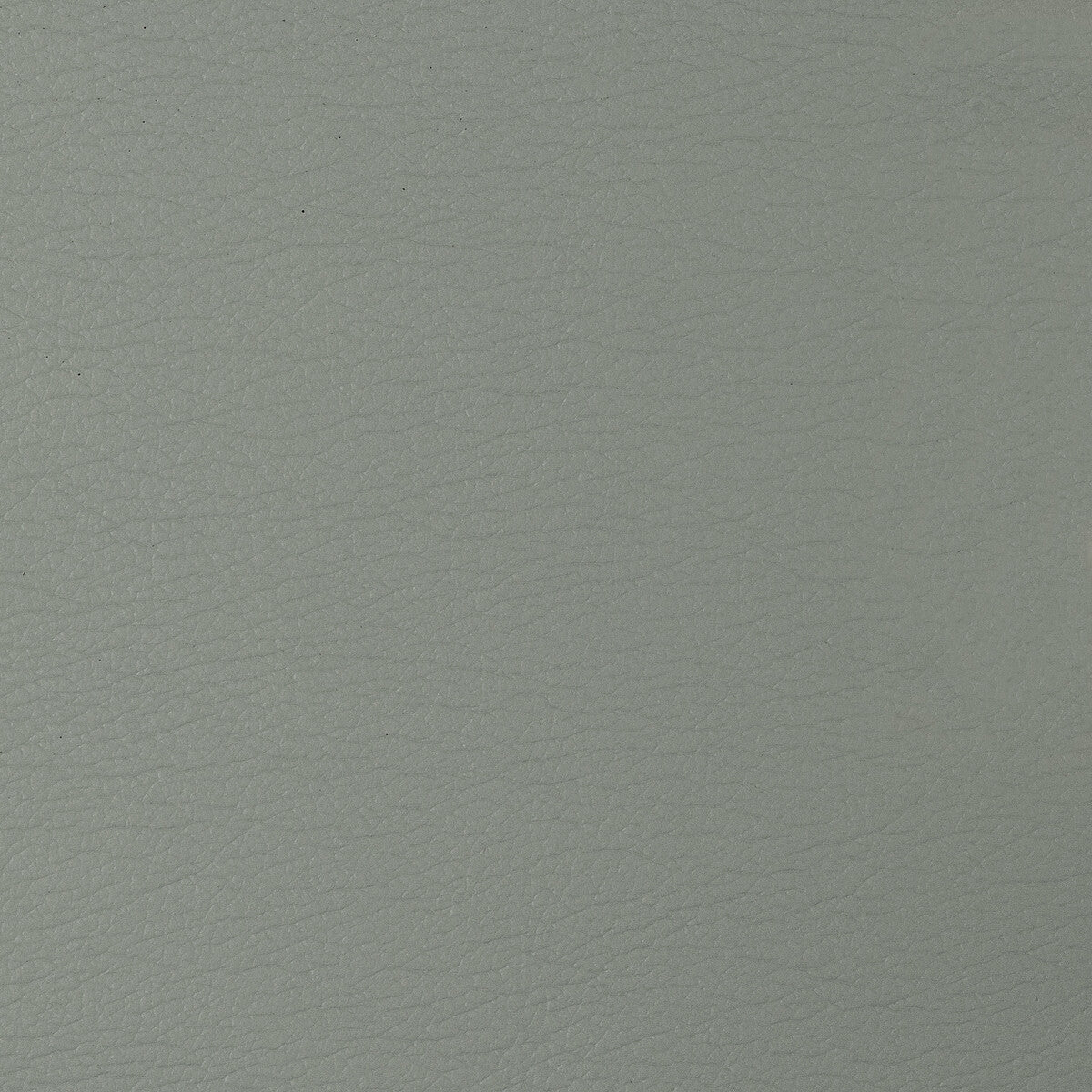 cara520-kravet-design-cara-52-kravet-design