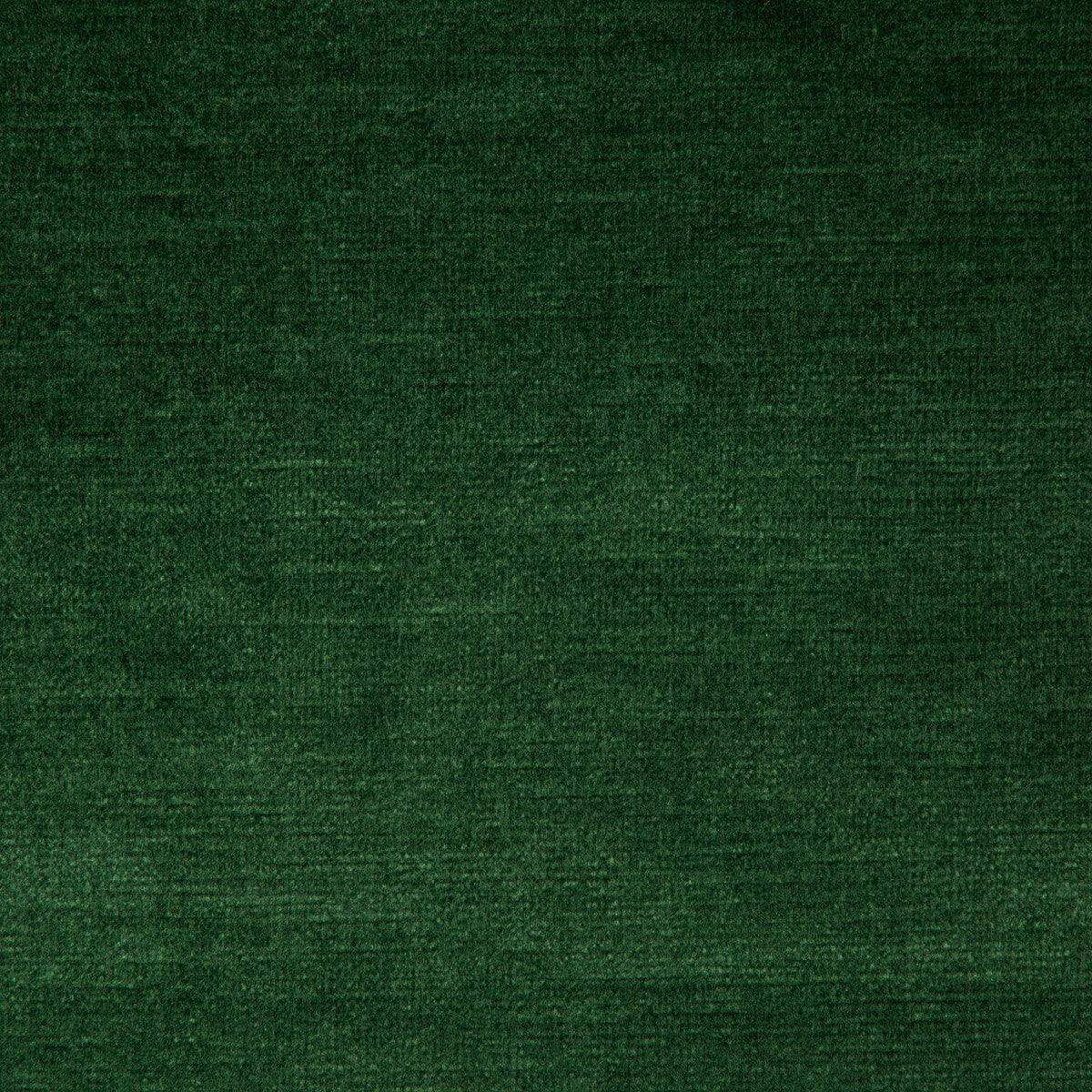 313263300-venetian-forest-kravet-design