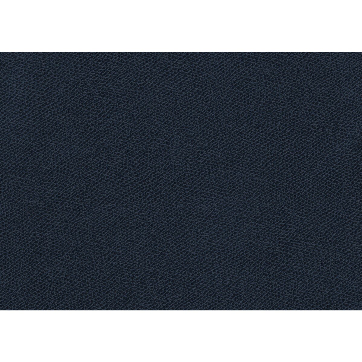 ophidian500-ophidian-midnight-kravet-contract