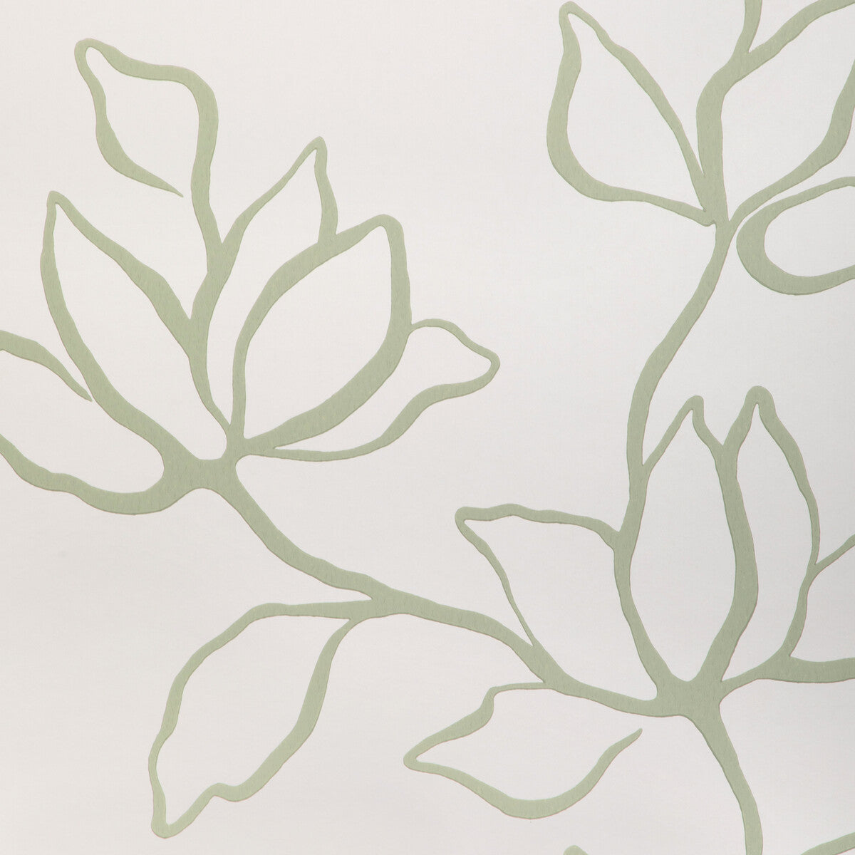 w3886300-floral-sketch-wp-sage-kravet-couture - KRAVET COUTURE Wallpaper