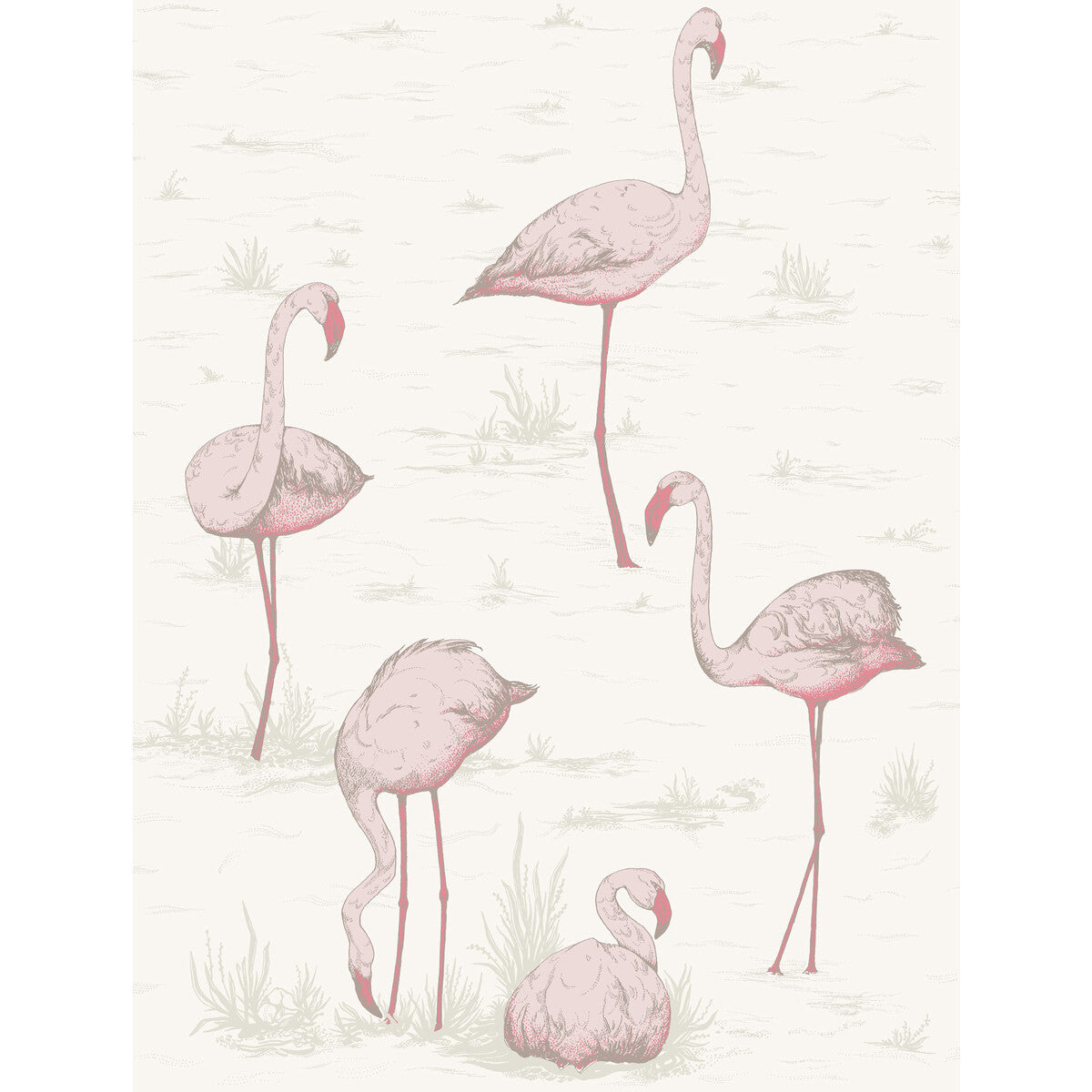 958045cs0-flamingos-pinkwhite-cole-son - COLE & SON Wallpaper